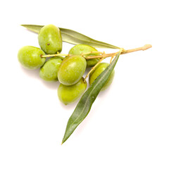 Agriculture of Gran Canaria -  small twigs of olive tree Olea europaea from Tirajana municipalities