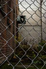 Old Metal Fence and Backyard