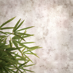 stylish textured old paper background with bamboo branches