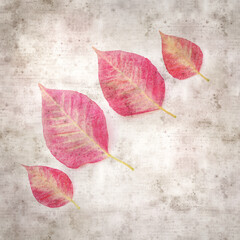 Fototapeta na wymiar square stylish old textured paper background with pink poinsettia leaves 