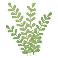 branches foliage icon