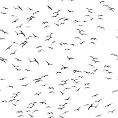 Fauna of Fuerteventura - flock of seagulls isolated on white background, seamless and repeatable pattern
