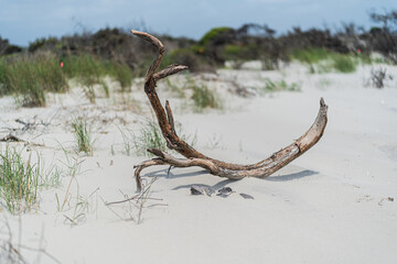 Fototapeta premium Ocean Isle Beach