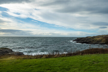 Gorgeous view of the grassy coastline on San Juan Island on a bright, sunny day with puffy white...