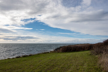 Gorgeous view of the grassy coastline on San Juan Island on a bright, sunny day with puffy white clouds