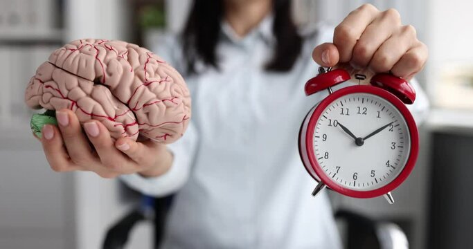 Woman holds mock up of human brain and alarm clock