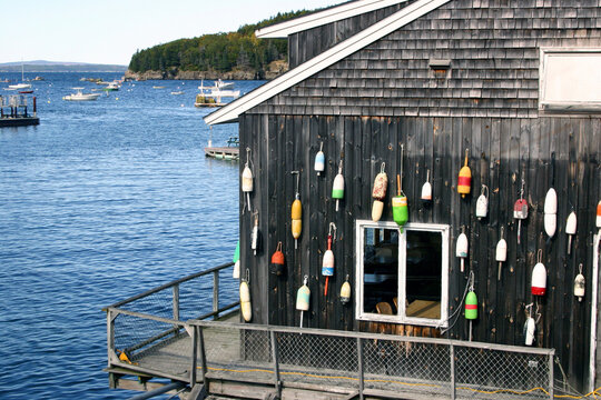 Typical lobster shed found on docks in New England, USA.  Decorated with colorful bouys and gear.