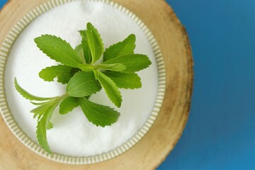 Stevia rebaudiana.Stevia green twig close-up into stevia powder in a round cup on bright blue background.Organic sweetener.Stevia plants.