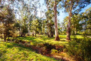 Lilydale to Warburton Rail Trail in Australia