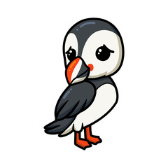 Cute little puffin bird cartoon
