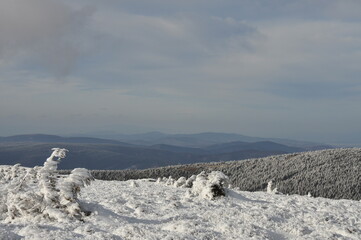 Fototapeta na wymiar Hiking in Jeseniky Mountains, proper winter conditions