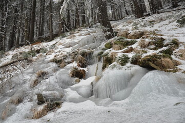 Hiking in Jeseniky Mountains, proper winter conditions