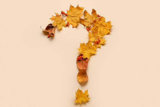 Question mark made of autumn leaves and rowan on color background - Powered by Adobe