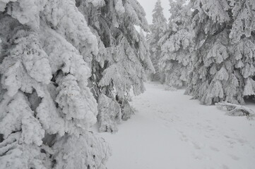 Hiking in Jeseniky Mountains, proper winter conditions
