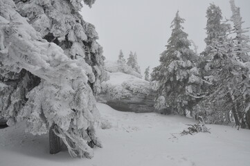 Hiking in Jeseniky Mountains, proper winter conditions