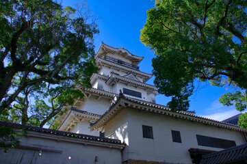 Fototapeta premium 今治城