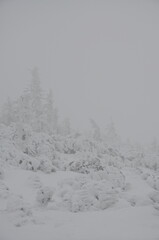 Hiking in Jeseniky Mountains, proper winter conditions