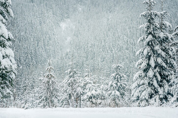 View of the nearby mountains follows the road to the Sea Eye in winter, Zakopane