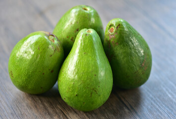 The avocado, Persea americana, sweet and delicious fruit, is classified as a member of the flowering plant family Lauraceae.