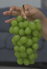 Green muscat grapes are small to medium in size and are round to oblong in shape, growing in tight clusters on medium-sized, cylindrical bunches