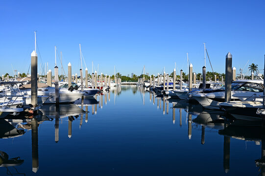 Boats docked in marina in Key Biscayne, Florida in early morning light on clear autumn day.