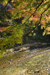 紅葉の養老渓谷