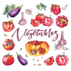 Watercolor vegetables: tomato bell pepper garlic pumpkin eggplant isolated on white background. Summer autumn health food for salad or soup. Clipart for menu cafe wallpaper sketchbook cookbook