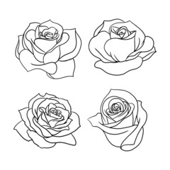rose petal illustration in various styles isolated on white. uncolored roses for design composition as an element on wedding invitations, greeting cards, and more.