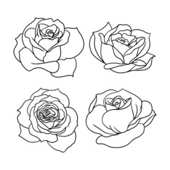 various rose petal illustration isolated on white. uncolored roses for design composition as an element on wedding invitations, greeting cards, and more.