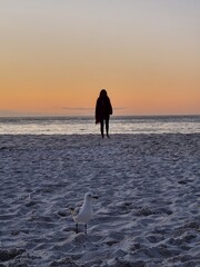 person walking on the beach at sunset