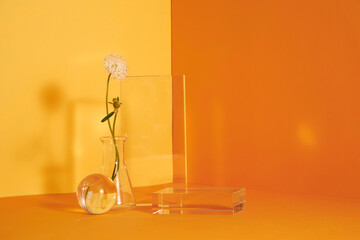 Glass podium and flower minimal scene with ribbed on a yellow background. Stand to show cosmetic...