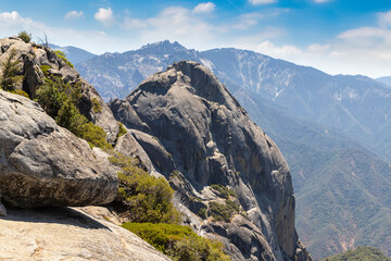 Fototapeta premium Sequoia National Park in California