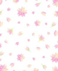 Plakat 優しい水彩の桜の背景イラスト