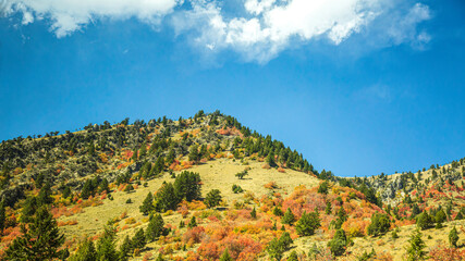 autumn landscape with mountain and sky