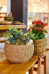 flowers in a wicker basket, farmer's day,  brazilian crafts, handmade decoration, ornamental flowers