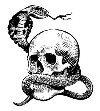 Human skull and cobra snake. Ink black and white drawing