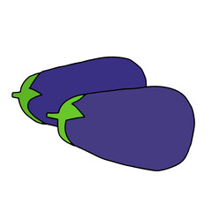 Vector outline illustration of two blue fresh eggplants isolated on a white background
