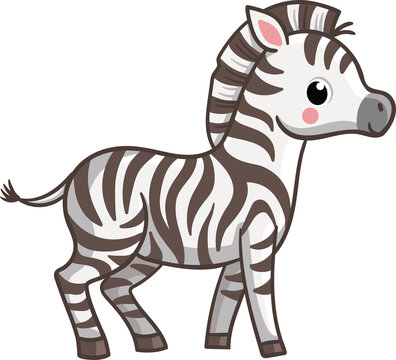zebra wild animal Africa