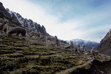 mountain in the mountains