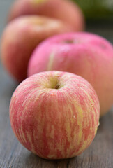 Fuji apples are moderately sized fruits, and have a round to ovate shape with a slightly lopsided appearance. The  skin is smooth, waxy, and has a yellow green base, covered in red pink stripes