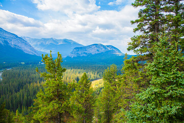 Landscape with trees and mountain