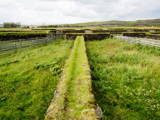 Fototapeta premium The Scaftholt Sheepfolds, traditional circular sheep pens located in Thjorsa river valley along route 32, are the oldest in Iceland