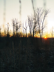 Sunrise in nature