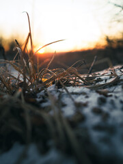Sunrise in nature