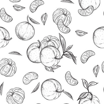 Hand drawn seamless pattern black and white of mandarin, tangerine, leaf. Vector illustration. Elements in graphic style label, sticker, menu, package