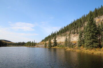 lake in the forest