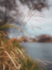 Landscapes nature