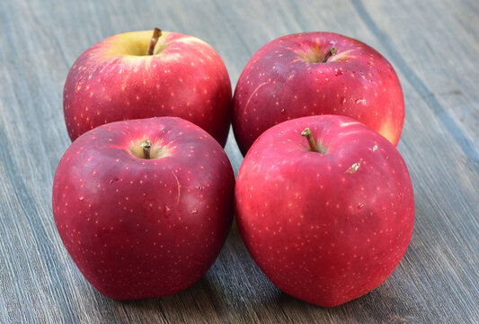 Pacific Queen Apple, Pacific Rose Apple, New Zealand