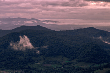 The close-up natural background of green rice fields, behind a large mountain and mist flowing through the blurred foliage, is a natural beauty seen in the countryside