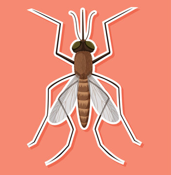 Top view of mosquito in cartoon style